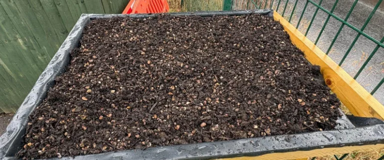 AUGUST 2026: Green Roof for the Bug Hotel AUGUST 2026: Green Roof for the Bug Hotel