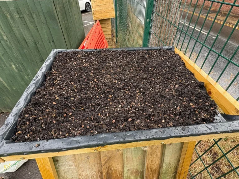 AUGUST 2026: Green Roof for the Bug Hotel AUGUST 2026: Green Roof for the Bug Hotel