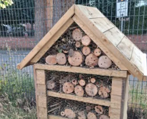JULY 2026: The Beavers (6 to 8 year olds) have been Beavering Away JULY 2026: The Beavers (6 to 8 year olds) have been Beavering Away