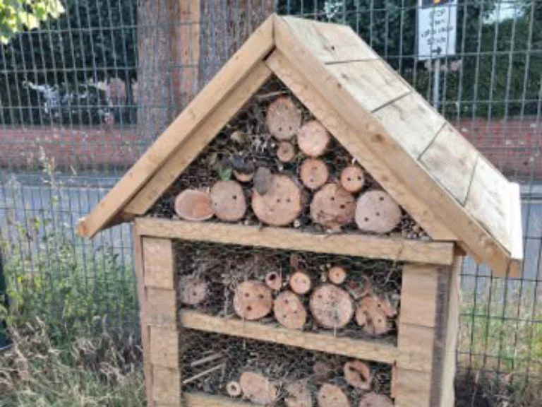 JULY 2026: The Beavers (6 to 8 year olds) have been Beavering Away JULY 2026: The Beavers (6 to 8 year olds) have been Beavering Away